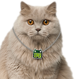 catphoto